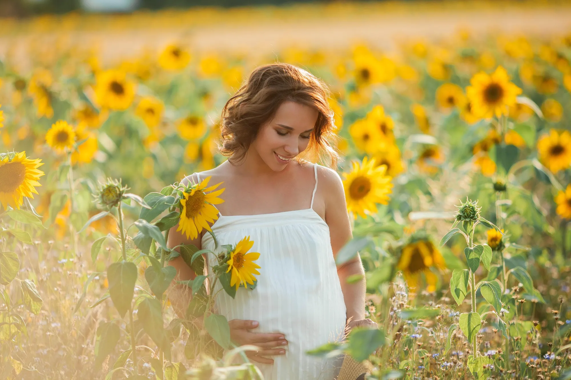 Beautiful young pregnant woman in the sunflower field. Portrait of a young pregnant woman in the sun. Summer.