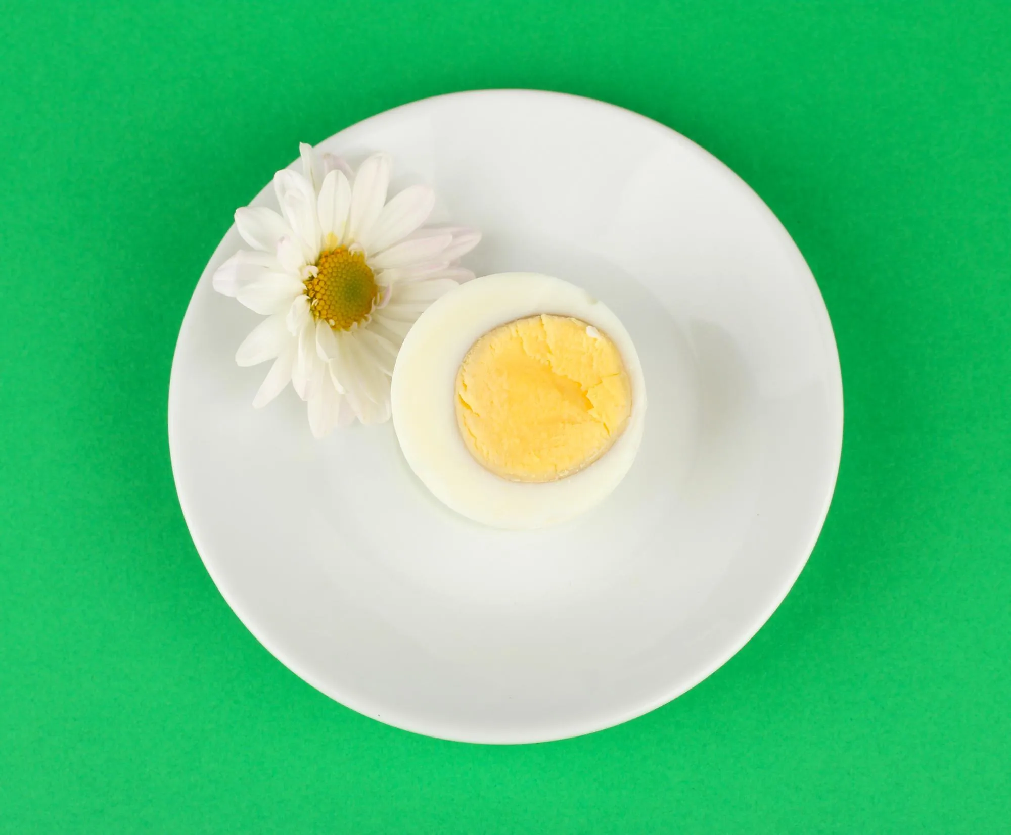 Boiled egg on color background