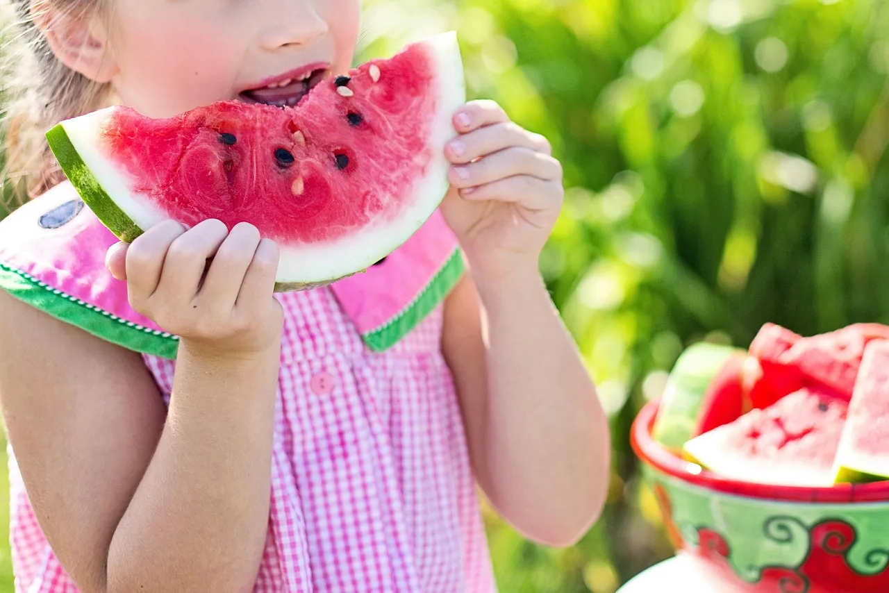 girl, eating, watermelon, eat, little girl, summer, food, nature, child, kid, fresh, fresh fruit, fresh watermelon, watermelon slice, fruit, healthy, tasty, organic, nutrition