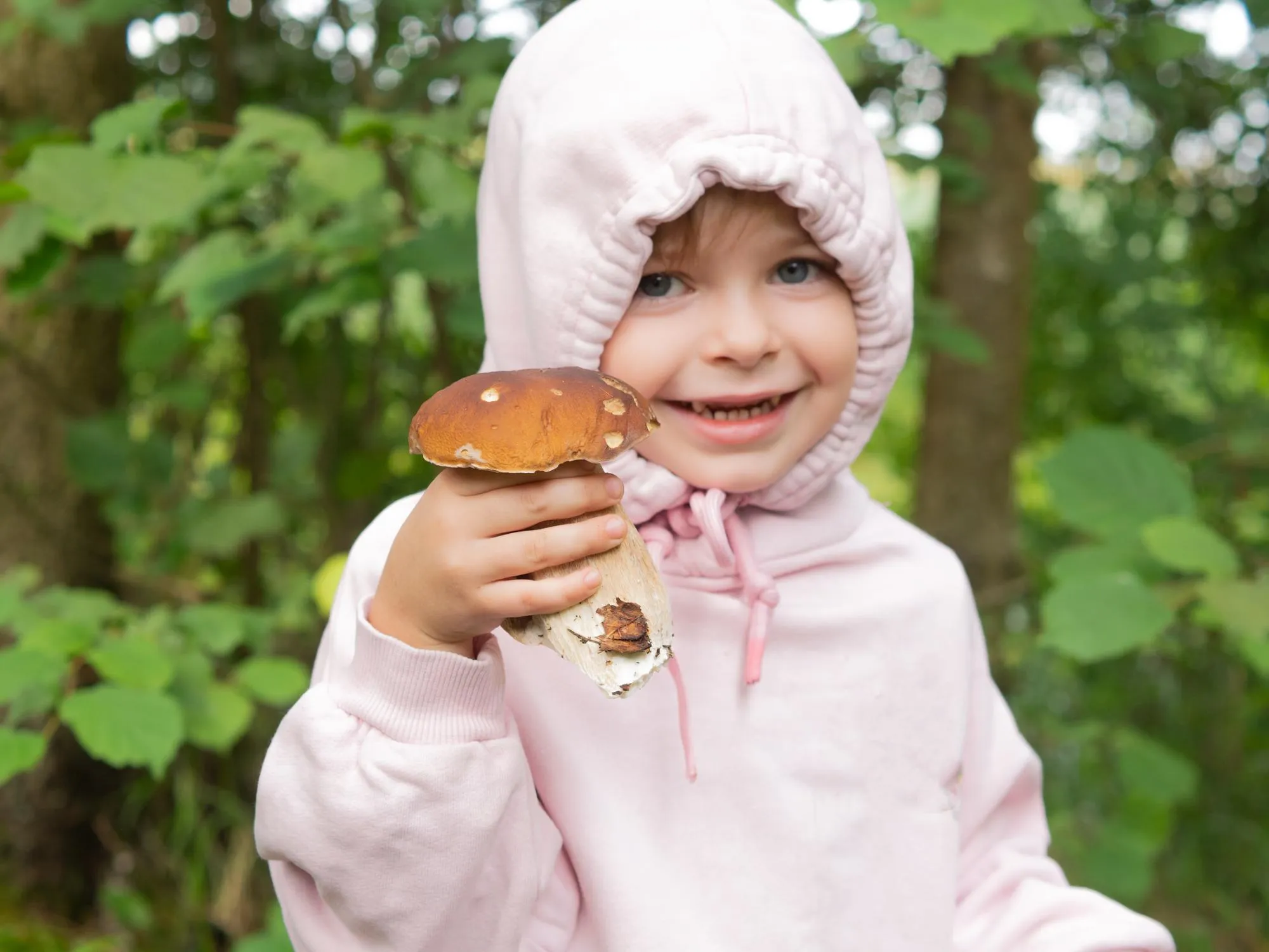 girl in the forest shows edible red mushroom