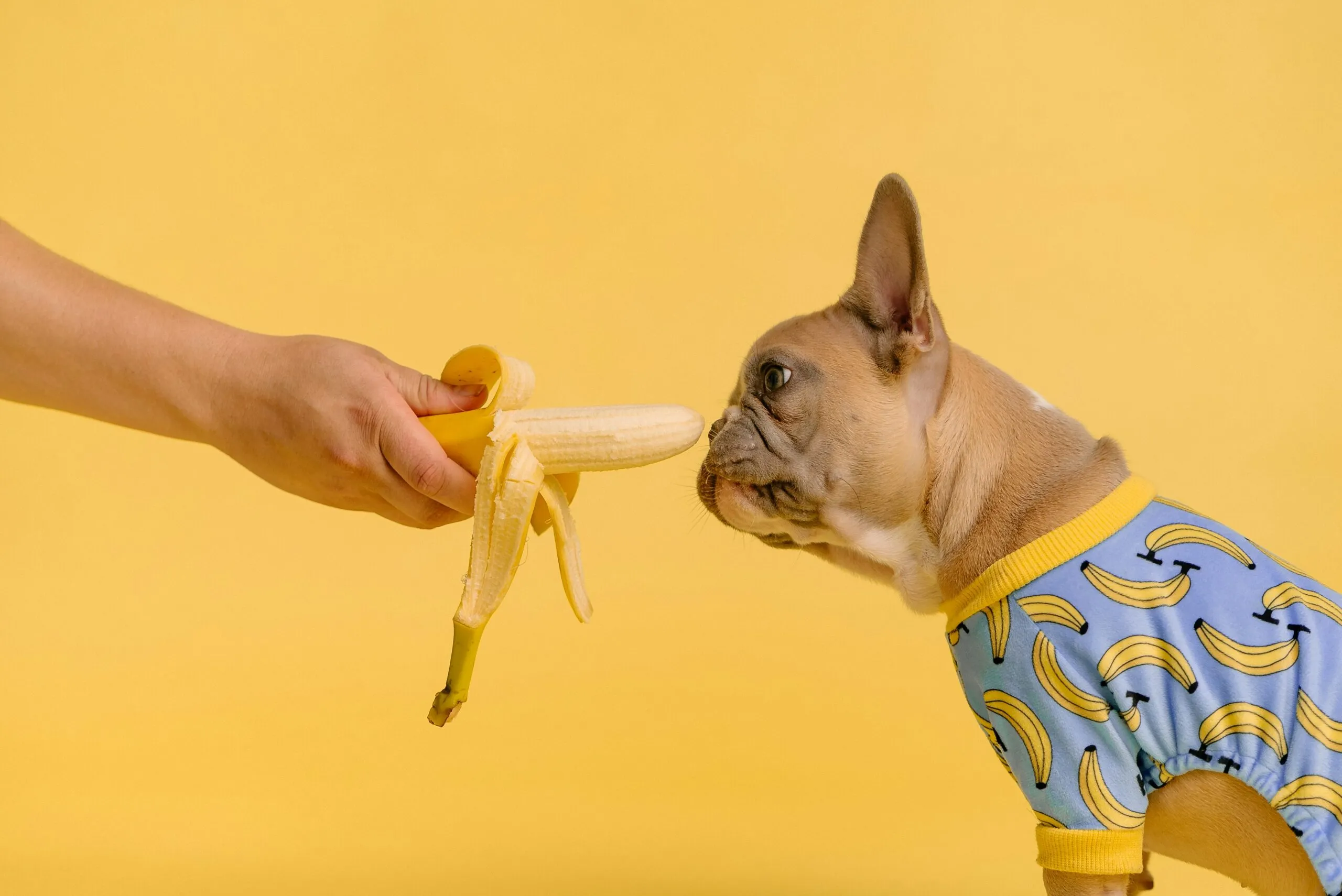 person holding yellow and white ice cream cone