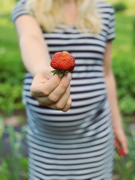 Midsection of man holding strawberry