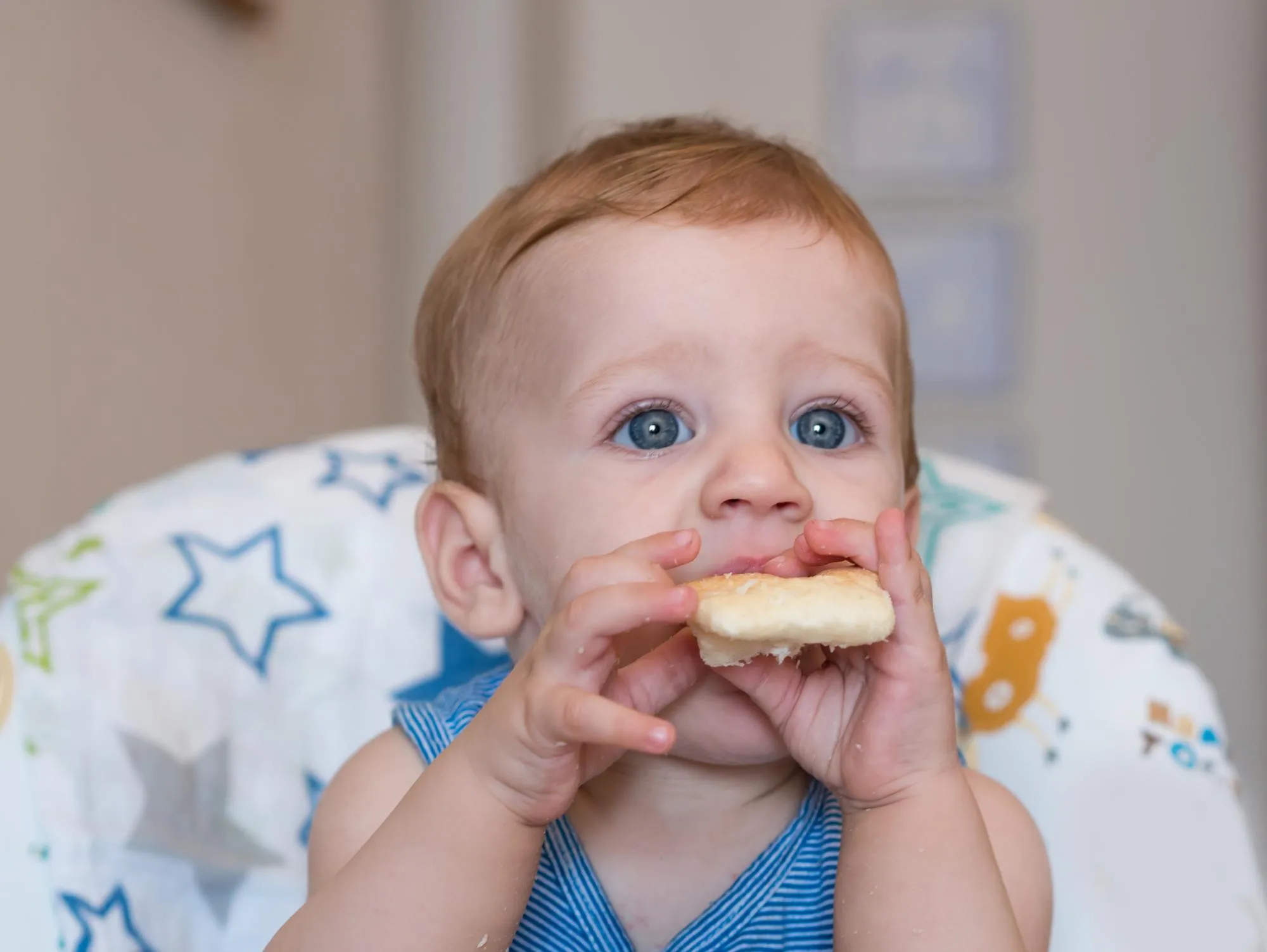 Portrait of cute baby boy eating food at home