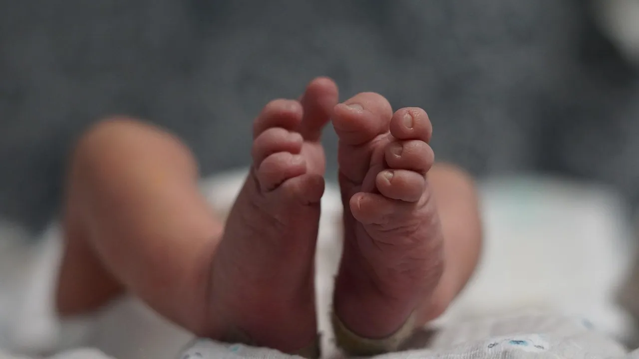 baby feet, free background, wallpaper 4k, background, newborn feet, small, tiny, tender, 4k wallpaper 1920x1080, young, sweet, cute, baby, infant, patch, love, hospital, 4k wallpaper, family, child, birth, luck, healthy, feet, newborn, free wallpaper, cool backgrounds, toe nails, mac wallpaper, hd wallpaper, full hd wallpaper, desktop backgrounds, windows wallpaper, wallpaper hd, bokeh, screening, gray love, gray hospital, gray healthy, laptop wallpaper, beautiful wallpaper, gray bokeh