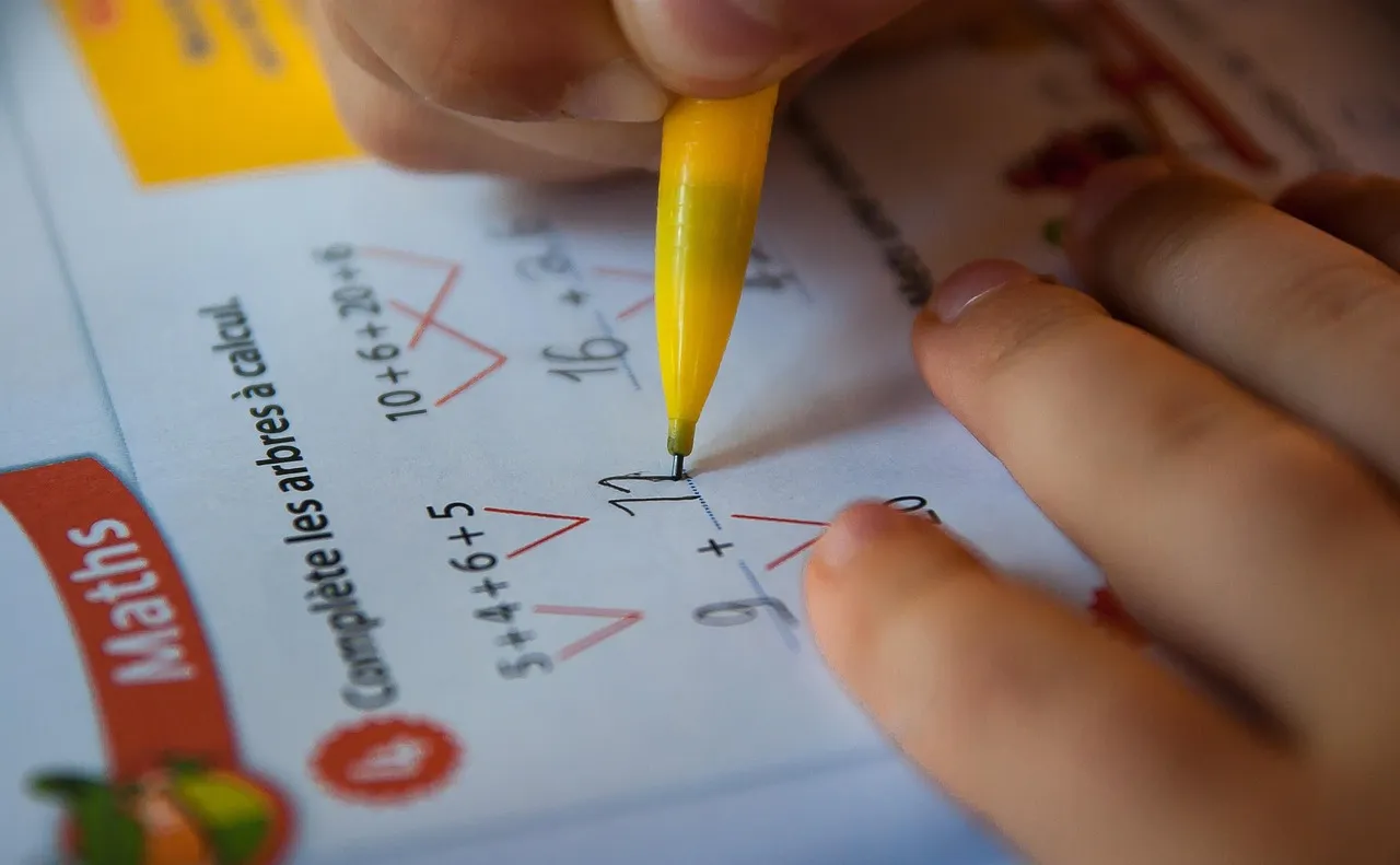 mathematics, schoolboy, calculation, school, student, mathematics, mathematics, mathematics, mathematics, mathematics