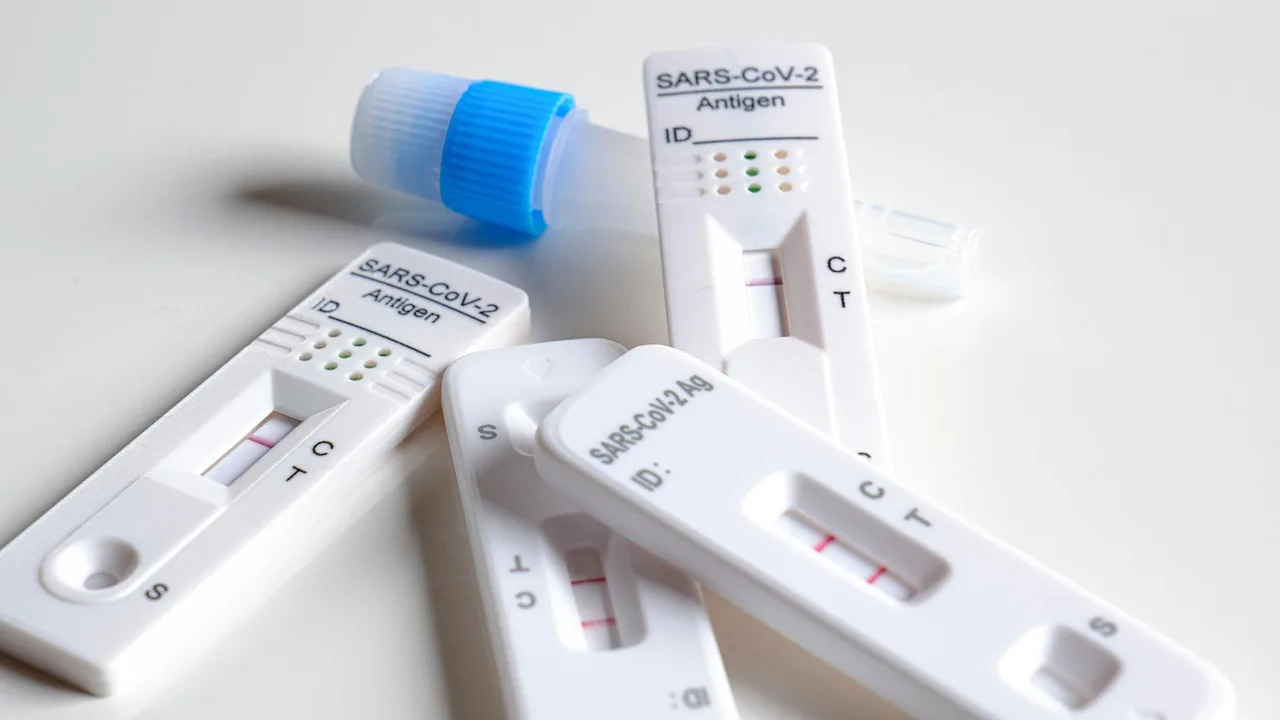 antygen, szybki test, korona, covid, test, covid-19