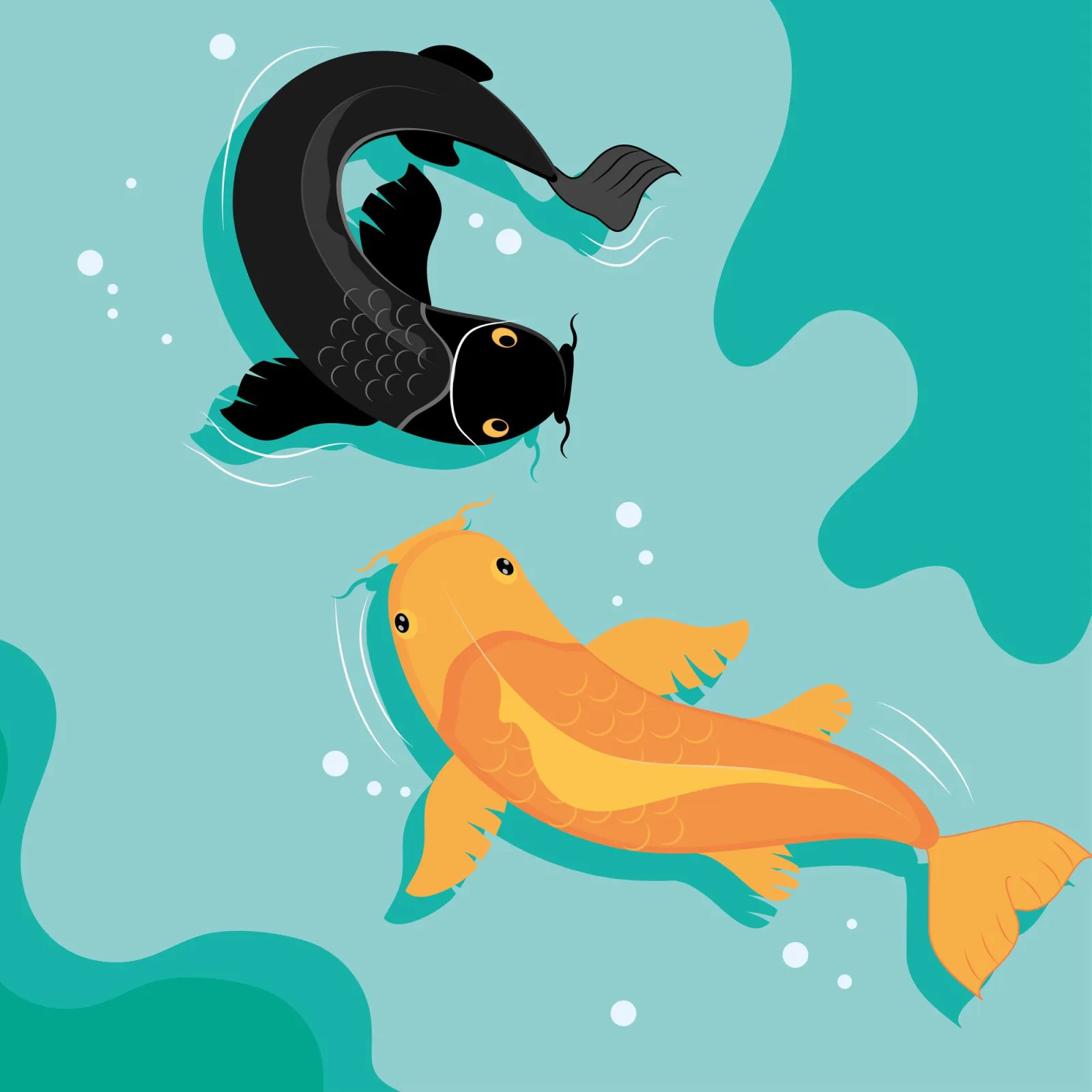 Koi carp fishes