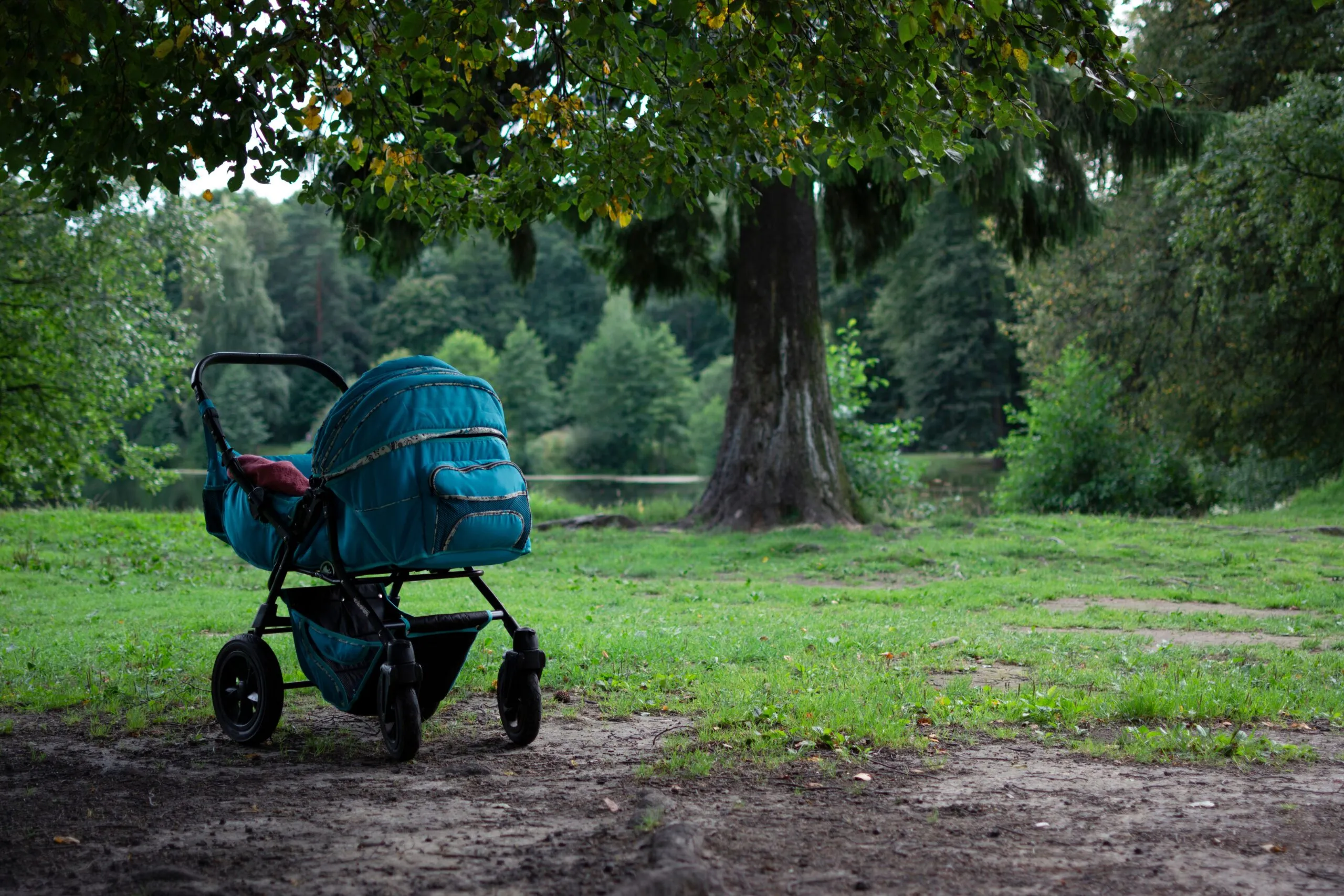 A serene park setting with a baby stroller under a tree, capturing nature's calm.