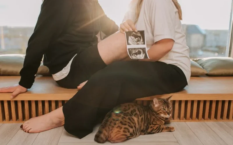 Couple sitting by window with a sonogram and Bengal cat, capturing a tender maternity moment.