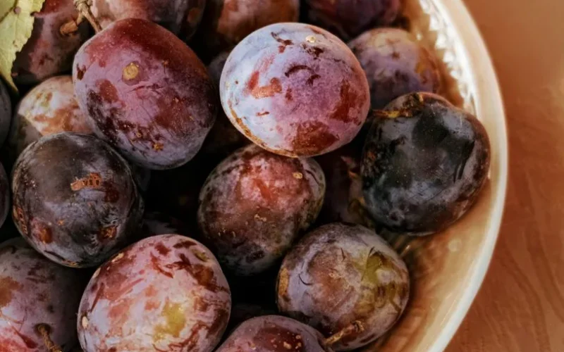 A detailed close-up of ripe plums in a bowl, showcasing their fresh and nutritious appeal.