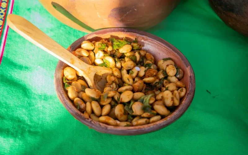 Clay bowl filled with Andean fava bean salad on vibrant green tablecloth in Arequipa, Peru.