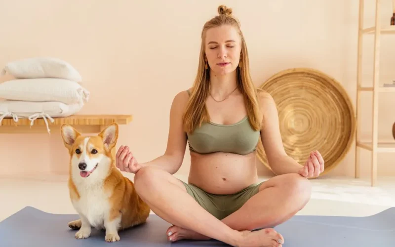 A pregnant woman practices yoga and meditation with her corgi dog indoors, promoting relaxation and mindfulness.