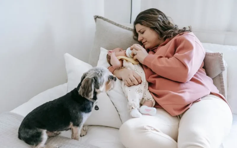 A mother feeds her newborn baby while a small dog watches attentively on the bed.
