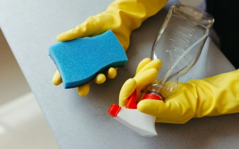 Close-up of hands in gloves holding a sponge and spray bottle for cleaning.