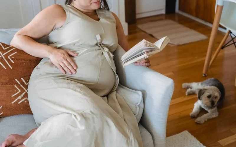 From above crop cheerful pregnant lady in casual dress sitting on comfortable couch and reading interesting book while dog lying nearby on parquet