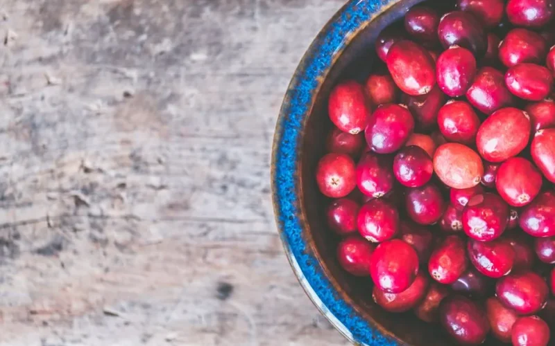 Colorful fresh cranberries in a textured blue bowl on a wooden tabletop creating a rustic and healthy food theme.